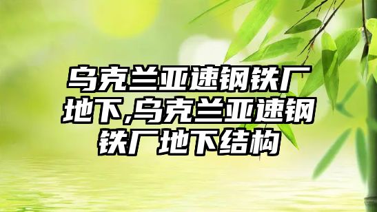 烏克蘭亞速鋼鐵廠地下,烏克蘭亞速鋼鐵廠地下結(jié)構(gòu)