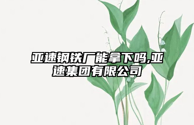 亞速鋼鐵廠能拿下嗎,亞速集團(tuán)有限公司