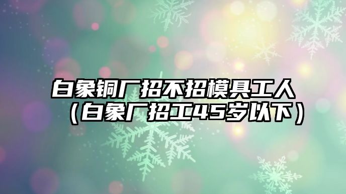 白象銅廠招不招模具工人（白象廠招工45歲以下）